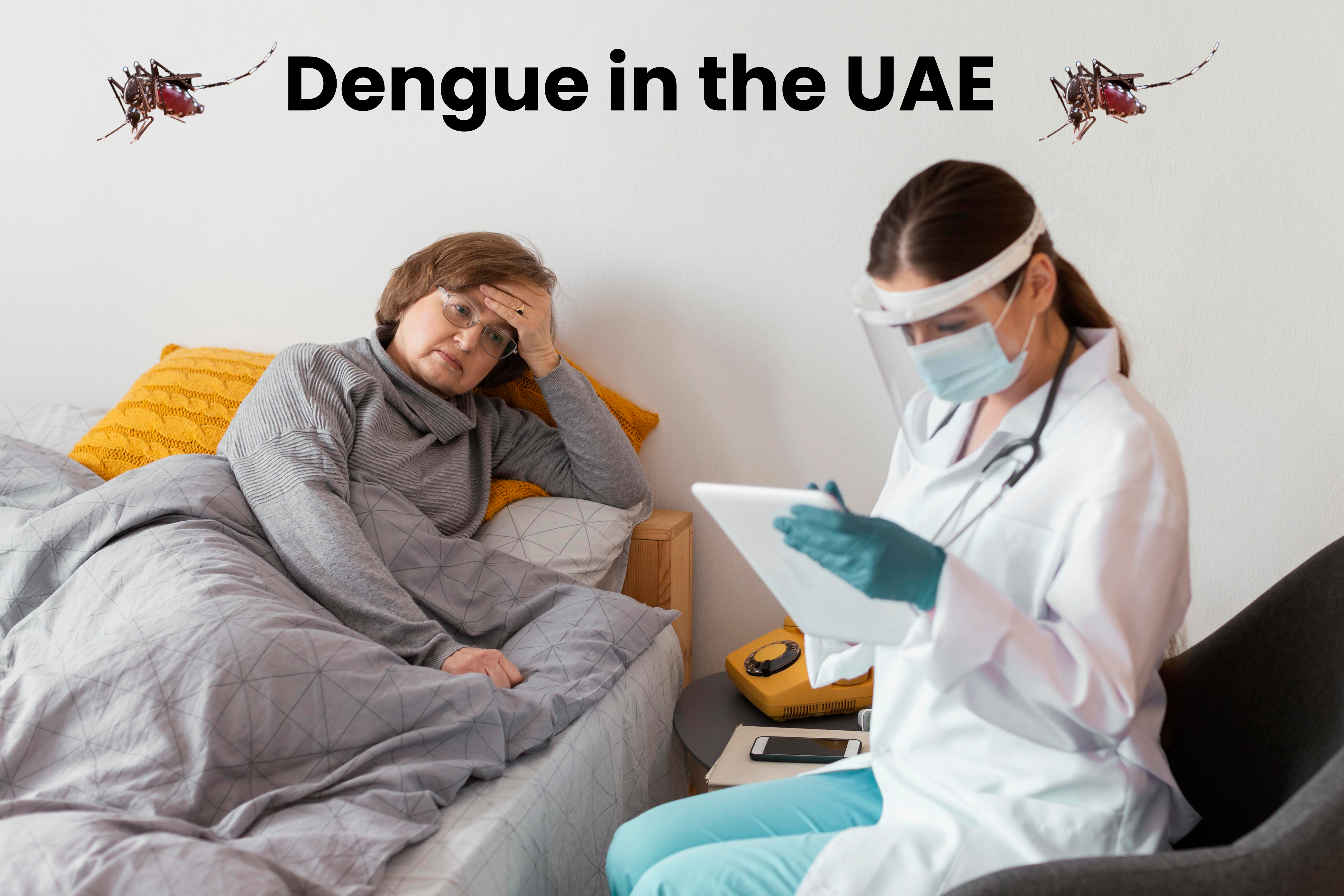dengue-in-the-uae